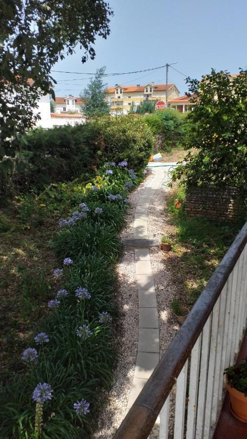 Vivenda Do Sobreiro Al Διαμέρισμα Serpins Εξωτερικό φωτογραφία