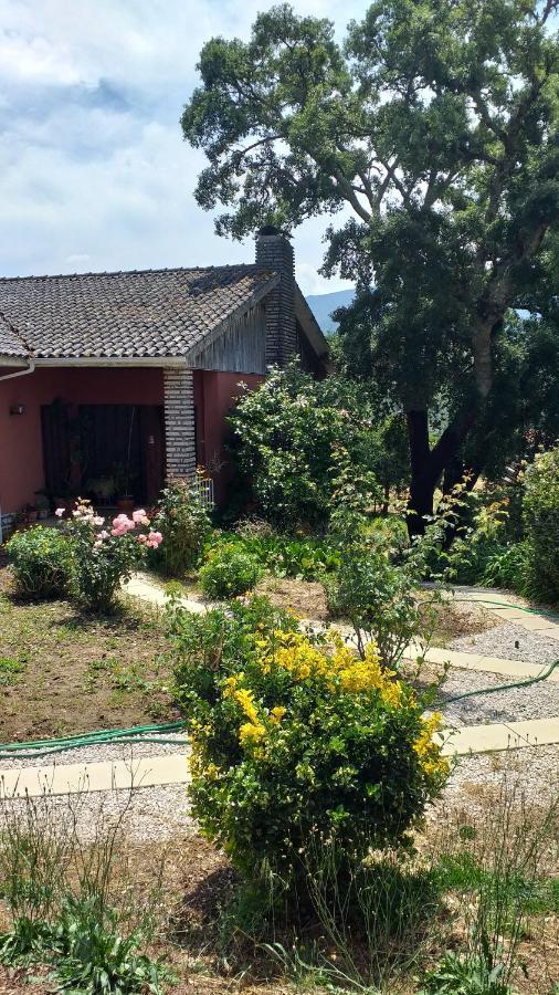 Vivenda Do Sobreiro Al Διαμέρισμα Serpins Εξωτερικό φωτογραφία