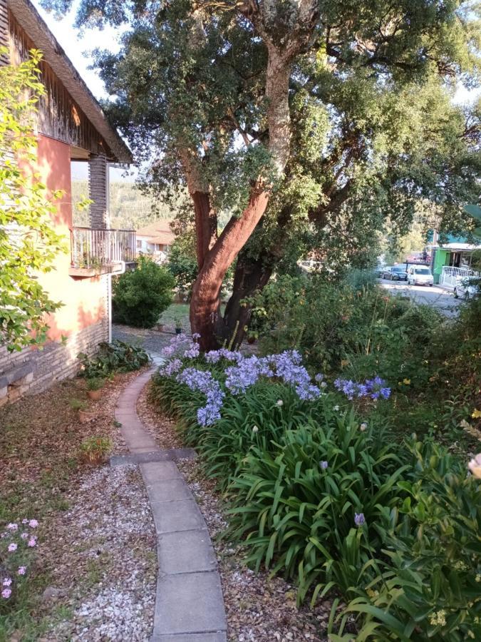 Vivenda Do Sobreiro Al Διαμέρισμα Serpins Εξωτερικό φωτογραφία