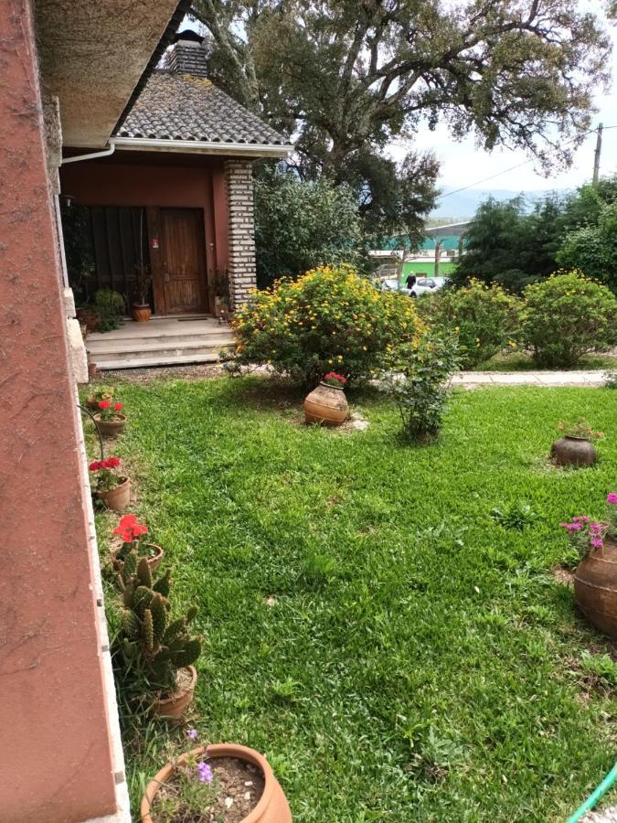 Vivenda Do Sobreiro Al Διαμέρισμα Serpins Εξωτερικό φωτογραφία